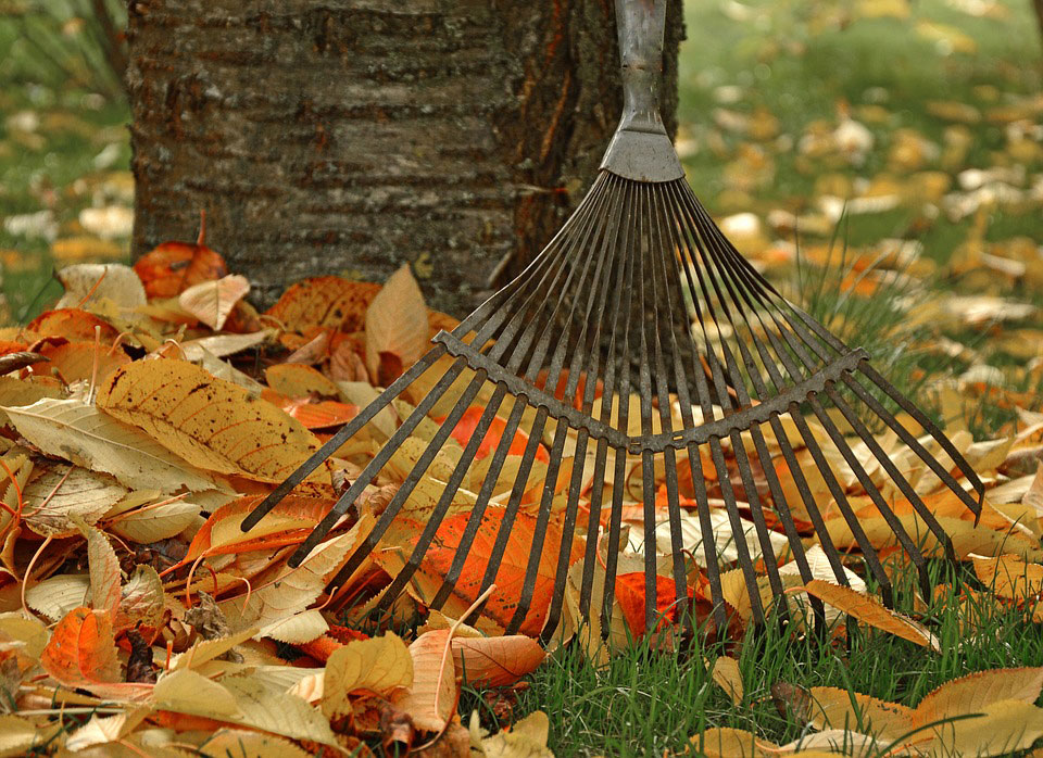 autumn garden maintenance Rotherham Doncaster Sheffield