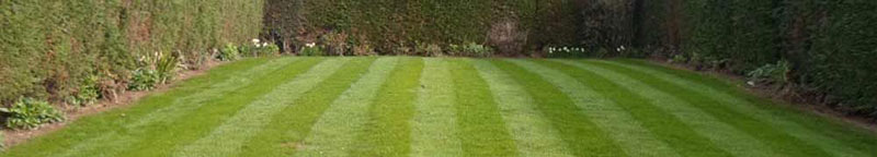 grass cutting lawn maintenance Rotherham