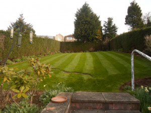 lawn care Rotherham Sheffield