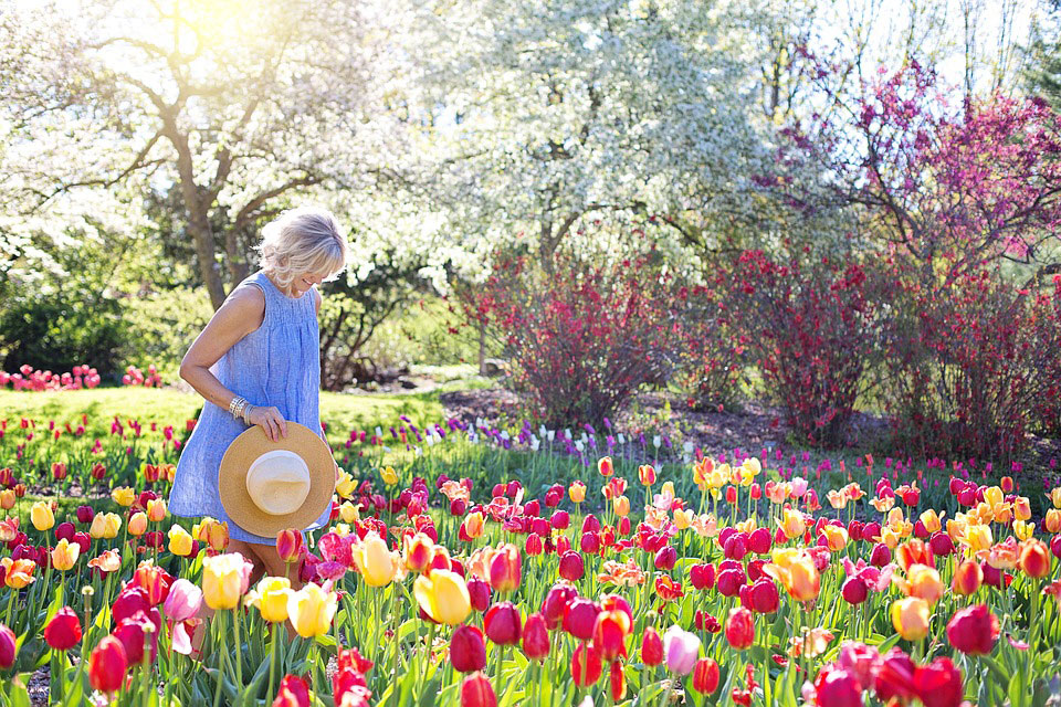 Preparing your Garden for Spring and Summer