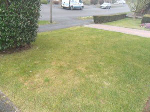 returfing in Rotherham Sheffield during